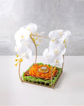 dried-fruits-diwali-hamper-dubai