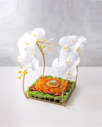 dried-fruits-diwali-hamper-dubai