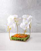 dried-fruits-diwali-hamper-dubai