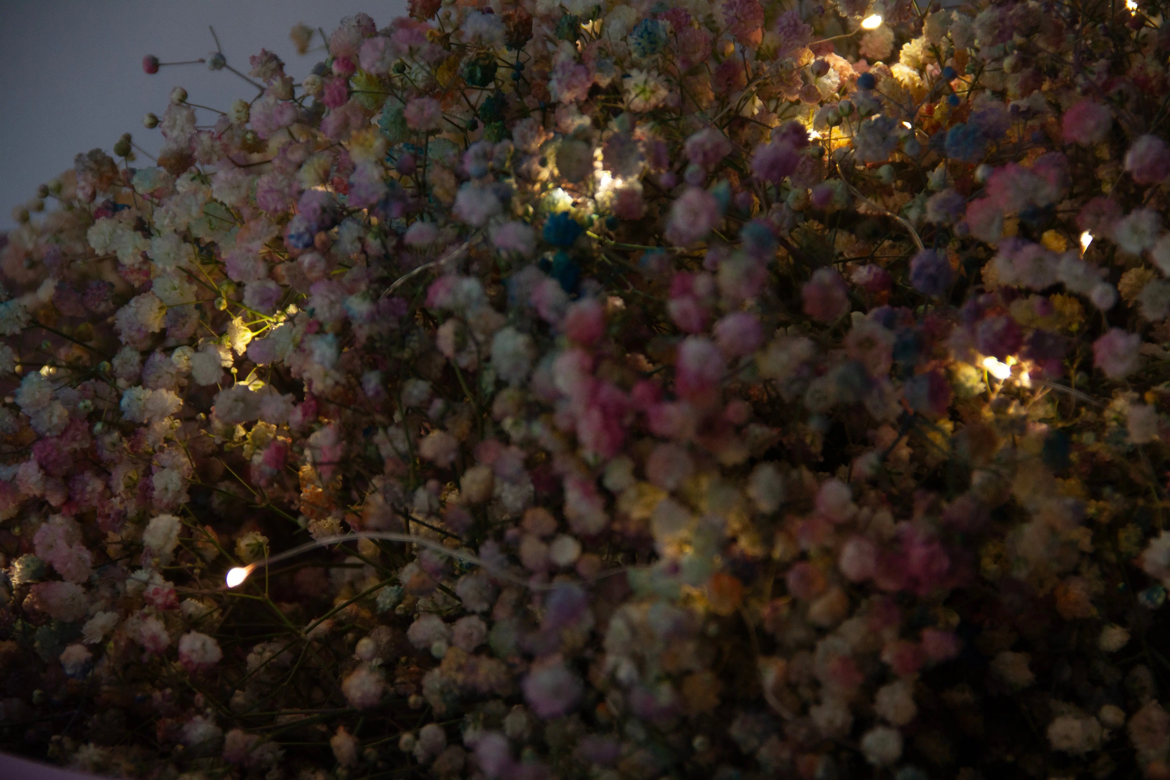 fireflies-fairies-flower-box-dubai