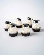graduation-theme-cupcakes-dubai