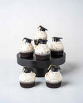 graduation-theme-cupcakes-dubai