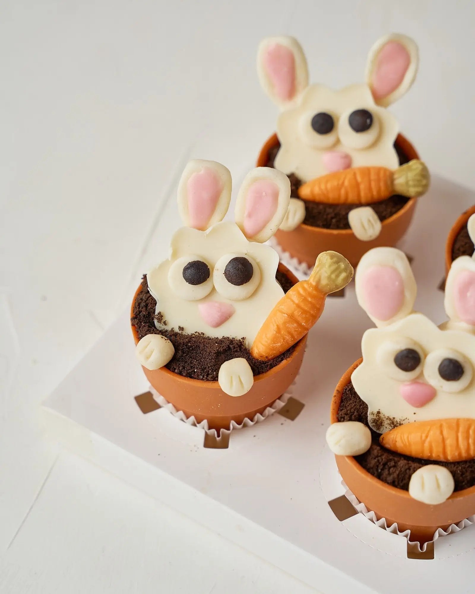 bunny-in-pots-dubai