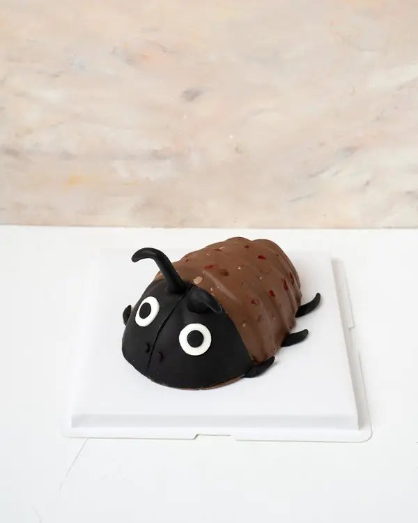 edible-roach-anyone-dubai