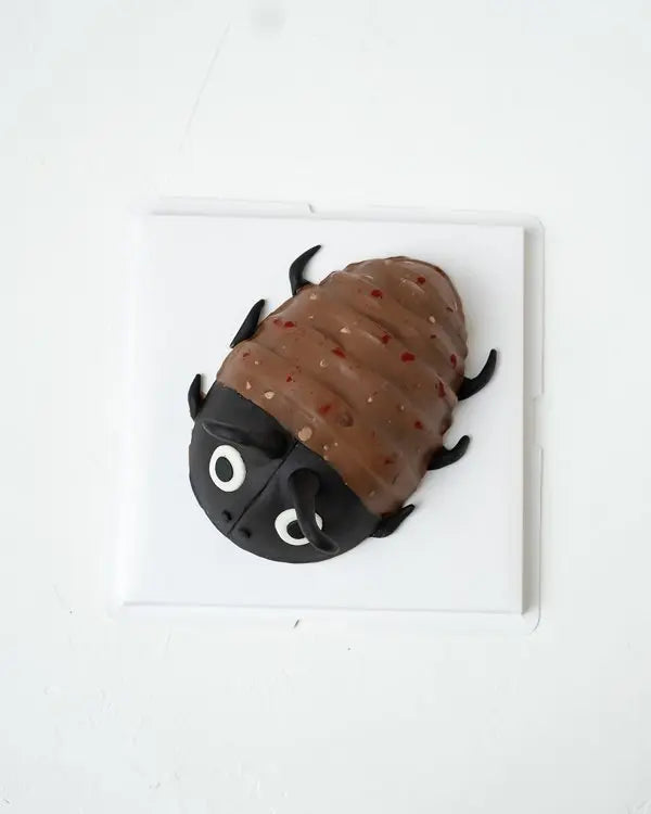 edible-roach-anyone-dubai
