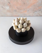 white-berry-arrangement-dubai