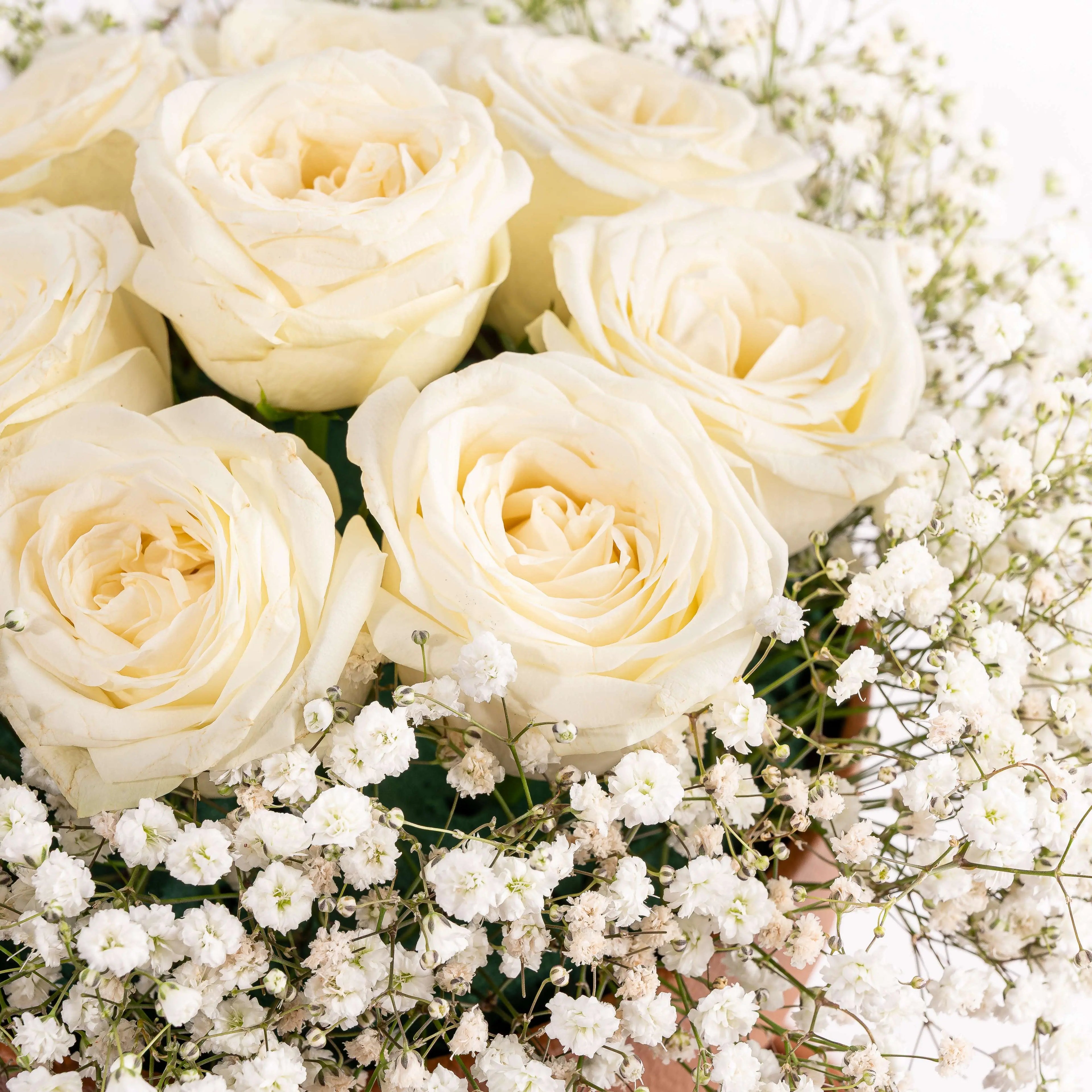 imperial-arabic-desserts-gift-tower-dubai