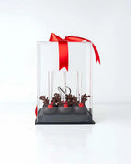 reindeer-9-cake-pops-dubai