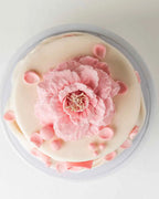 bow-of-hope-cake-dubai