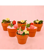 edible-plants-dubai