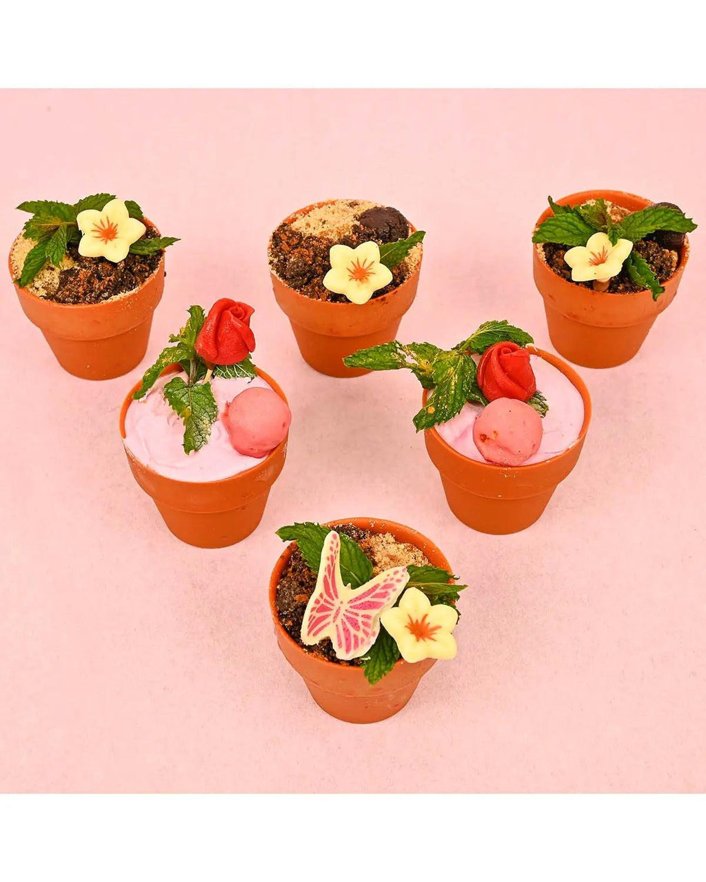 edible-plants-dubai