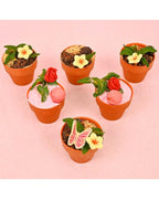 edible-plants-dubai