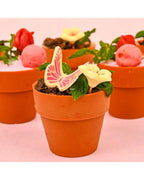edible-plants-dubai