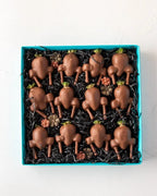 12pcs-berry-turkey-dubai