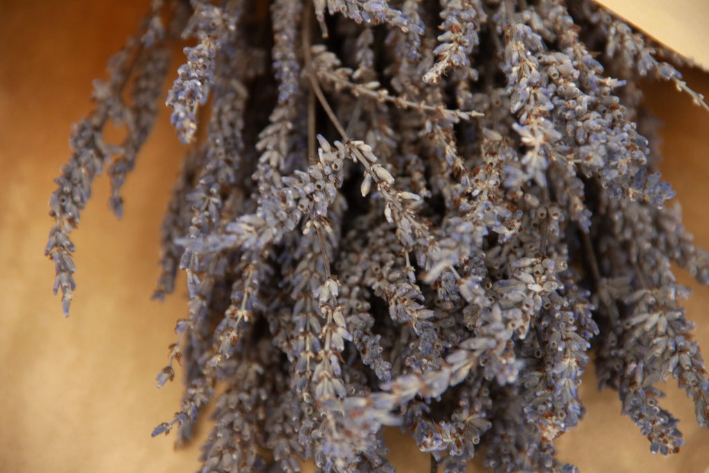 dried-lavender-bunch-dubai